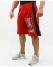 Шорты Legal Power Fitnessshorts Bostomix 3387 купить в хабаровске купить в хабаровске