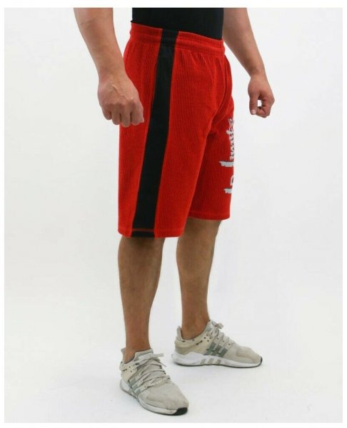Шорты Legal Power Fitnessshorts Bostomix 3387 купить в хабаровске купить в хабаровске