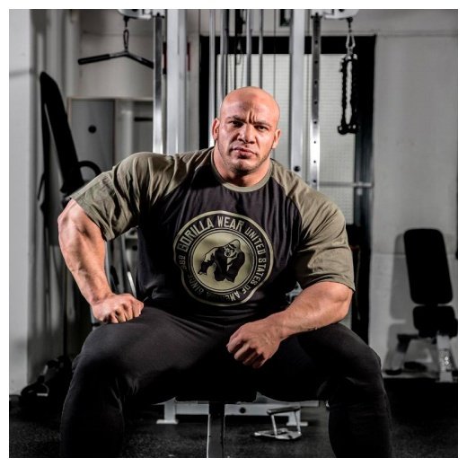 Футболка GORILLA WEAR " TEXAS" , черно-хаки (GW-90520) купить в хабаровске купить в хабаровске