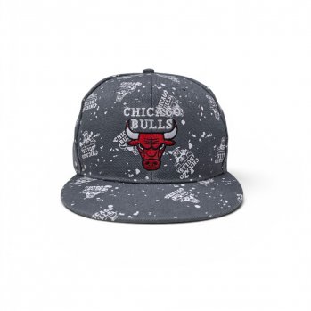 Бейсболка SNAPBACK CHICAGO BULLS серая / 6745