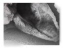 Кроссовки Женские зимние WUYOUTE черные / натуральный мех / 5719 купить в хабаровске купить в хабаровске