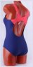 8739_1 Купальник спортивный SPEEDO синий купить в хабаровске купить в хабаровске